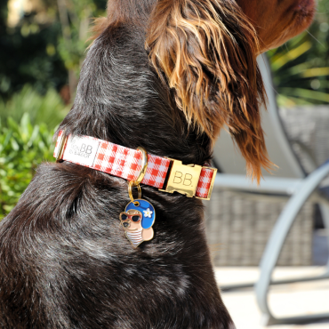 Accessoire bijou pour chiens - Originalité & style