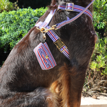 Pochette sacs à Crotte Marinière pour chien - StyleTropézien