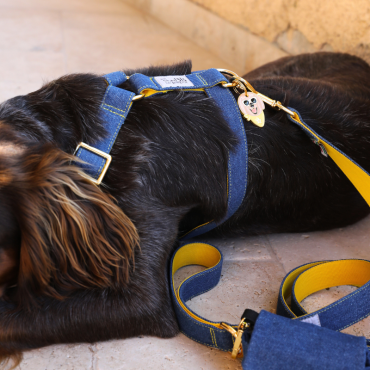 Harnais en jean pour chien - Style décontracté et tendance