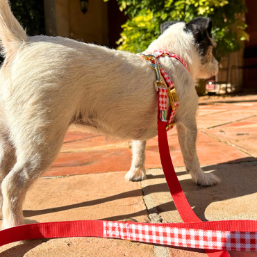 Laisse pour Chien en Vichy - Chic et Stylée