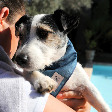 Bandana Jean pour chien ou chat : Stylé & rock !