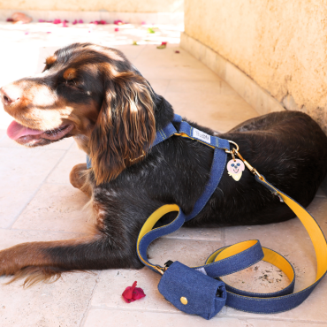 Laisse pour Chien en Jean - Chic et Résistante