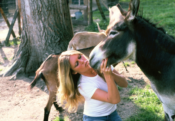 Brigitte-bardot-animaux